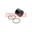 KAMOKA F302001 - Filtre à carburant