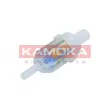 KAMOKA F303001 - Filtre à carburant