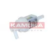KAMOKA F303001 - Filtre à carburant