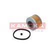 KAMOKA F303101 - Filtre à carburant