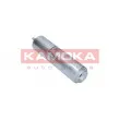 KAMOKA F306101 - Filtre à carburant