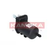 KAMOKA F306401 - Filtre à carburant