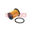 KAMOKA F307101 - Filtre à carburant