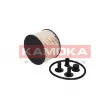 KAMOKA F307301 - Filtre à carburant