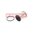 KAMOKA F308601 - Filtre à carburant