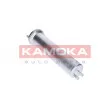 KAMOKA F310301 - Filtre à carburant