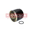 KAMOKA F313001 - Filtre à carburant