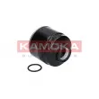 KAMOKA F313001 - Filtre à carburant