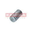 KAMOKA F314501 - Filtre à carburant