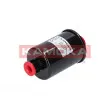 KAMOKA F315701 - Filtre à carburant