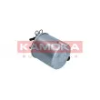 KAMOKA F317001 - Filtre à carburant