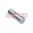 KAMOKA F317401 - Filtre à carburant