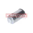 KAMOKA F318201 - Filtre à carburant