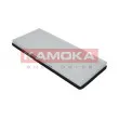 KAMOKA F408001 - Filtre, air de l'habitacle