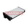 KAMOKA F409101 - Filtre, air de l'habitacle
