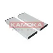 KAMOKA F410301 - Filtre, air de l'habitacle