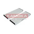 KAMOKA F410301 - Filtre, air de l'habitacle