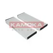 KAMOKA F410301 - Filtre, air de l'habitacle