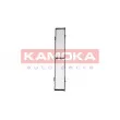 KAMOKA F410601 - Filtre, air de l'habitacle
