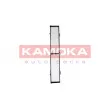 KAMOKA F410601 - Filtre, air de l'habitacle