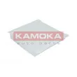 KAMOKA F412301 - Filtre, air de l'habitacle