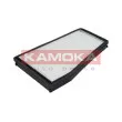 KAMOKA F415201 - Filtre, air de l'habitacle