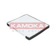 KAMOKA F415501 - Filtre, air de l'habitacle