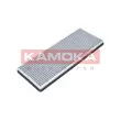 KAMOKA F501001 - Filtre, air de l'habitacle
