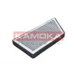 KAMOKA F501601 - Filtre, air de l'habitacle
