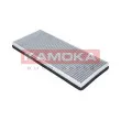 KAMOKA F502101 - Filtre, air de l'habitacle