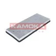 KAMOKA F502101 - Filtre, air de l'habitacle
