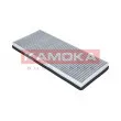 KAMOKA F502101 - Filtre, air de l'habitacle