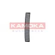 KAMOKA F504301 - Filtre, air de l'habitacle
