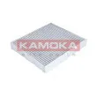 KAMOKA F504701 - Filtre, air de l'habitacle