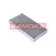 KAMOKA F505201 - Filtre, air de l'habitacle