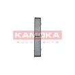 KAMOKA F505901 - Filtre, air de l'habitacle