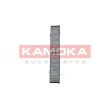 KAMOKA F505901 - Filtre, air de l'habitacle