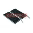 KAMOKA F519501 - Filtre, air de l'habitacle