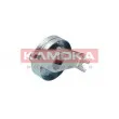 KAMOKA R0267 - Poulie-tendeur, courroie trapézoïdale à nervures