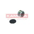 KAMOKA RC024 - Poulie roue libre, alternateur
