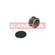 KAMOKA RC029 - Poulie roue libre, alternateur
