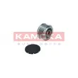 KAMOKA RC034 - Poulie roue libre, alternateur