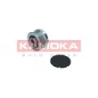 KAMOKA RC049 - Poulie roue libre, alternateur