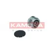 KAMOKA RC049 - Poulie roue libre, alternateur