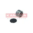 KAMOKA RC087 - Poulie roue libre, alternateur