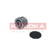 KAMOKA RC096 - Poulie roue libre, alternateur