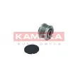KAMOKA RC107 - Poulie roue libre, alternateur