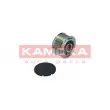 KAMOKA RC117 - Poulie roue libre, alternateur