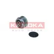 KAMOKA RC126 - Poulie roue libre, alternateur