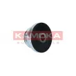 KAMOKA RC152 - Poulie roue libre, alternateur